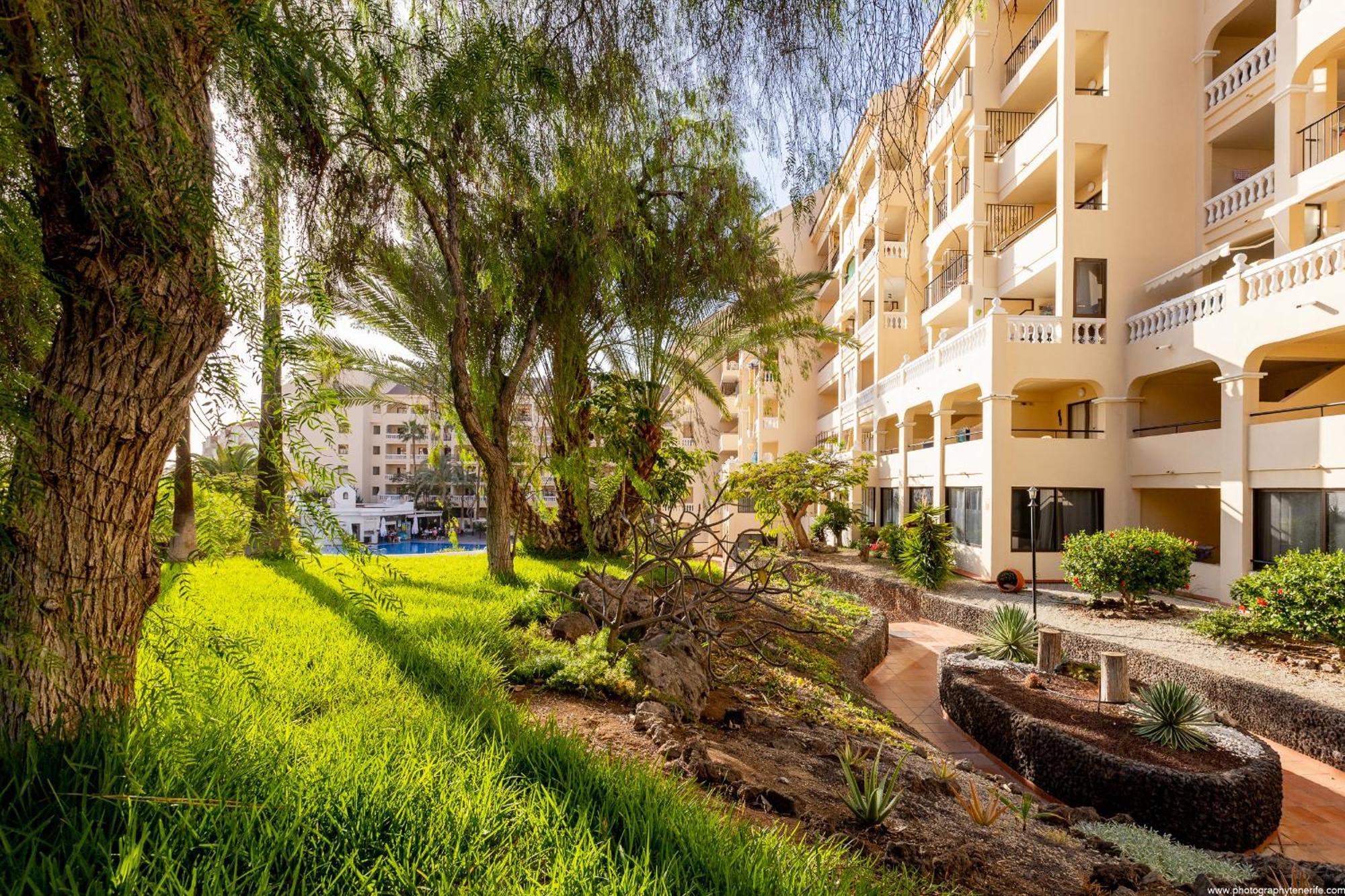 Apartment Castle Harbour Elegant 1-bedroom - Heated Pool, Air Conditioning & Fiber Internet In Cristianos *